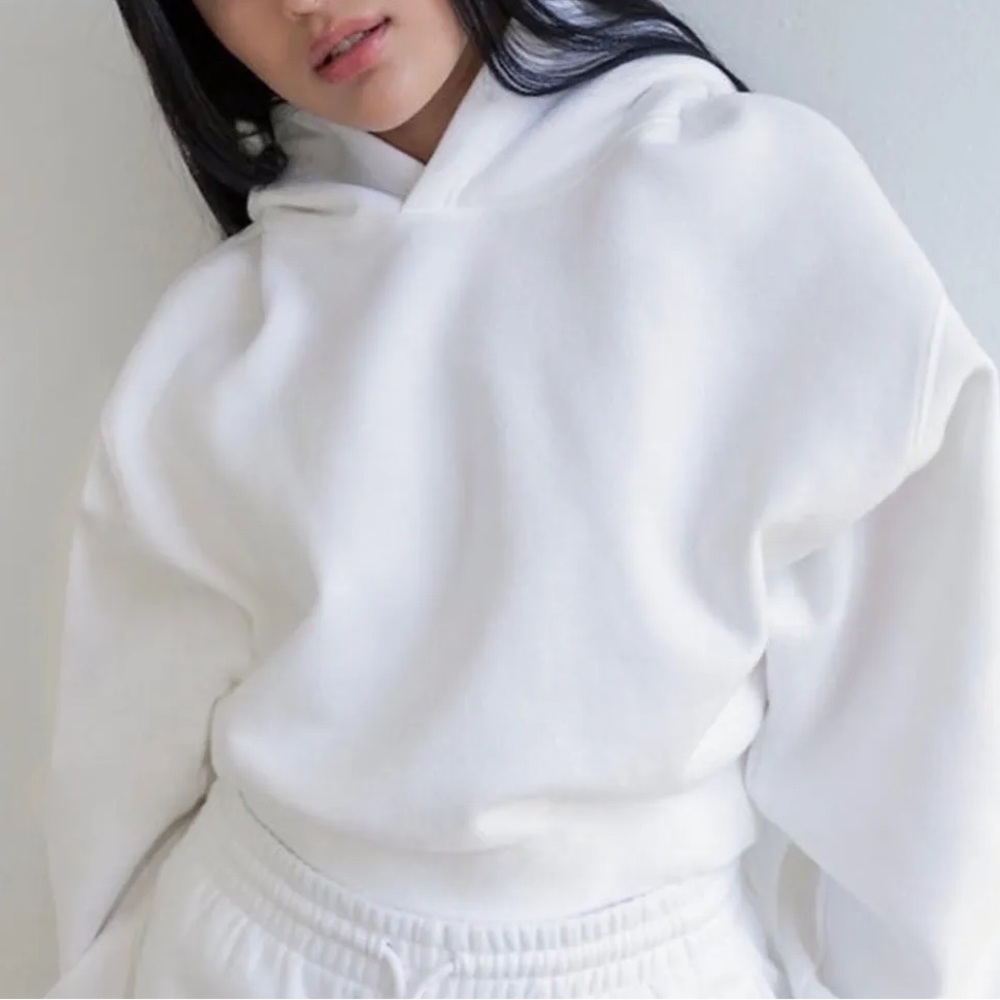 aritzia tna cozy fleece perfect shrunken hoodie